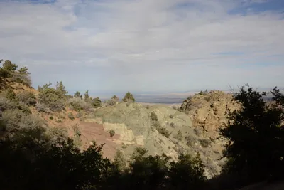 DSC_6254 (Large).JPG